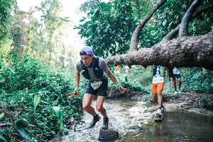 BIB: 
                            <button type="button" onclick="openModal(25368414)" class="btn btn-primary btn-sm float-right btn-popup" data-toggle="modal" data-target=".modal-high-quality">
                        <i class="fas fa-shopping-cart"></i> Add to Cart
                    </button>
                                            <button type="button" onclick="isThisMe(25368414, true)" class="btn btn-success btn-sm float-right btn-popup btn-isme hidden" data-toggle="tooltip" data-placement="bottom" title="นี่คือรูปของคุณใช่ไหม คลิกที่นี่เพื่อเอาเข้าอัลบั้ม">
                        <i class="fas fa-plus"></i> Add to album
                    </button>
                    <button type="button" onclick="isThisMe(25368414, false)" class="btn btn-warning btn-sm float-right btn-popup btn-isnotme hidden">
                        <i class="fas fa-ban"></i> Remove from album
                    </button>